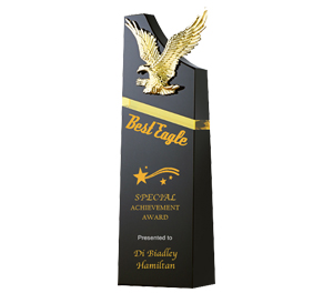 Acrylic with metal trophy